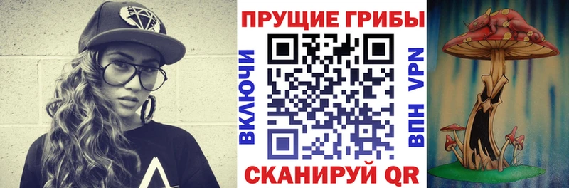 Псилоцибиновые грибы Psilocybe  гидра ТОР  Суровикино  где купить наркотик 